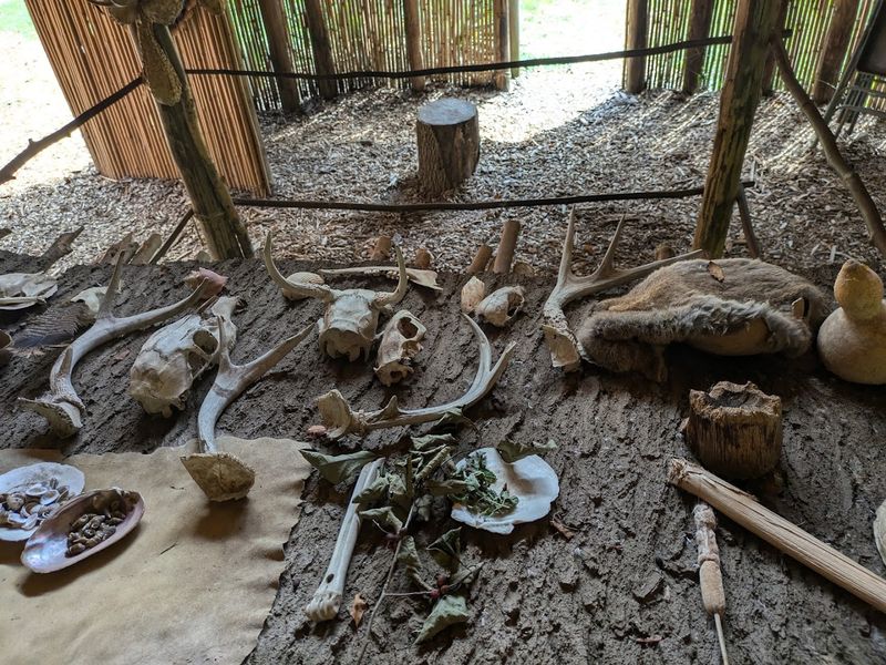 The Archaeological Roots: What the Brown-Johnston Site Revealed