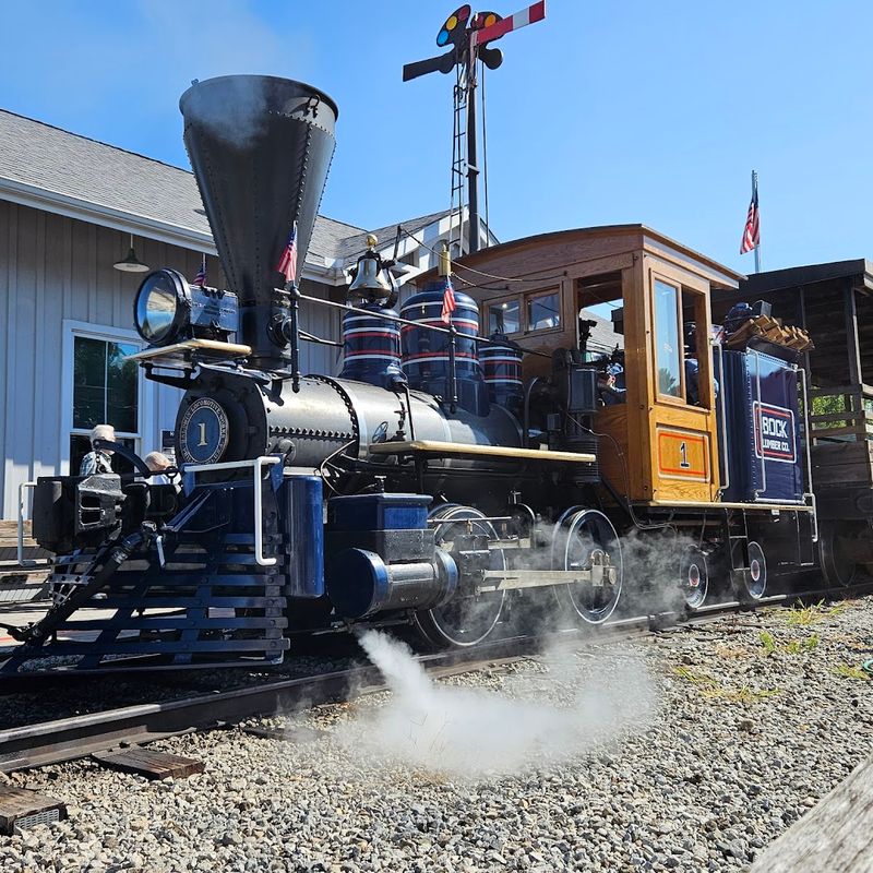 Seasonal Excursions Make Every Visit Feel Brand New