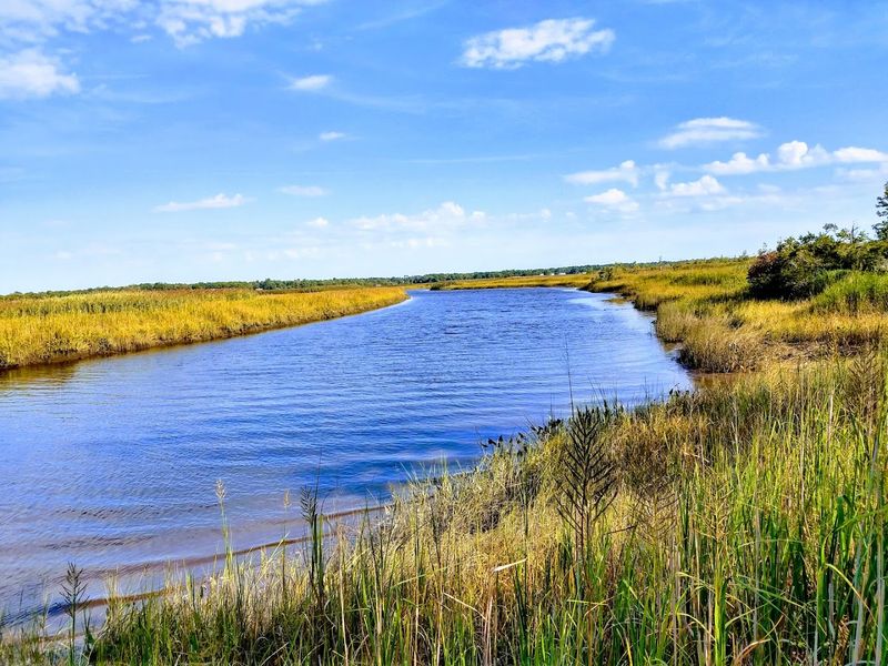 27 Miles of Trails Through Time