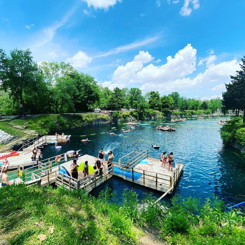 The Forested Setting That Feels Like a Secret World