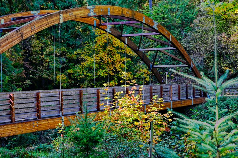 The Bridge That Makes the Whole View