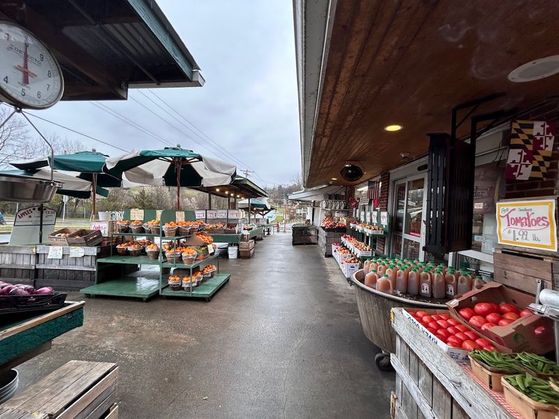 The Old-Fashioned Farm Feel Still Carries The Place