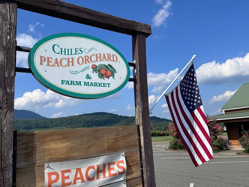 Plan Your Visit to 1351 Greenwood Road, Crozet