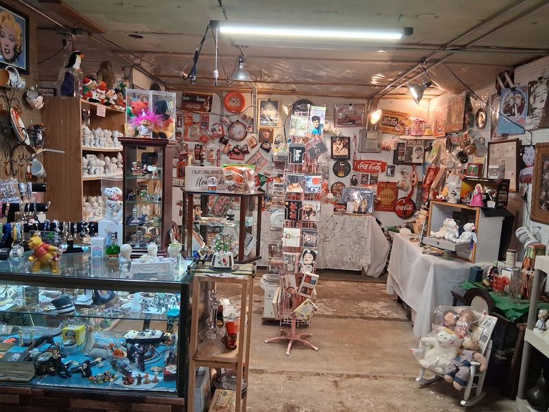 Over 250 Booths Means Something for Absolutely Everyone