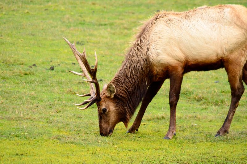 What Makes the 1,040-Acre Site So Special