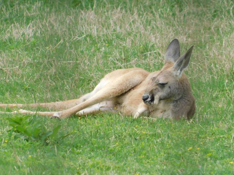 Practical Tips for Making the Most of Your Visit