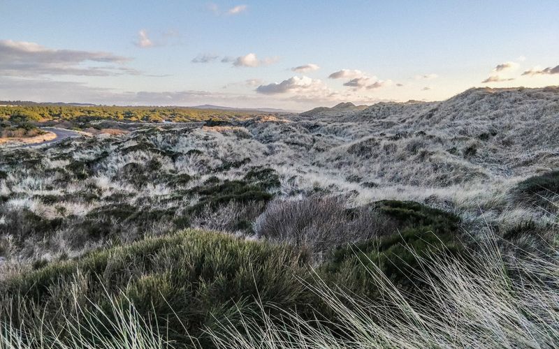 Sandboarding Down the Slopes Is Pure Joy