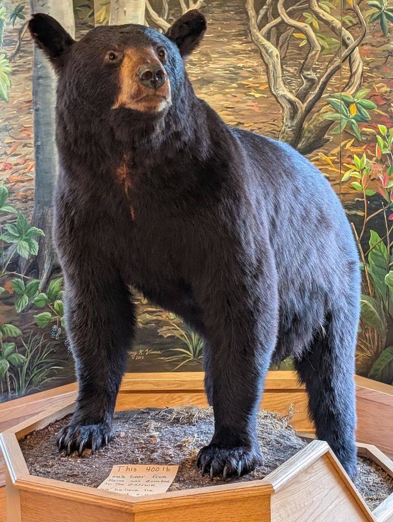 Great Swamp National Wildlife Refuge, New Jersey