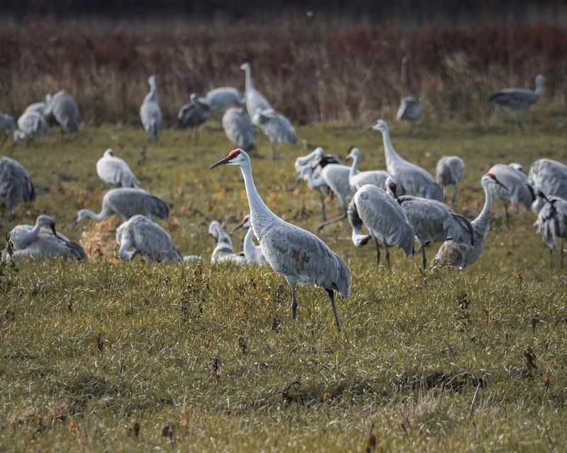 Nearby Attractions Make It Easy To Build a Full Day Trip