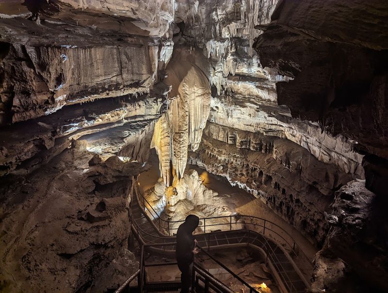 Guided Tours That Make the Science Feel Personal