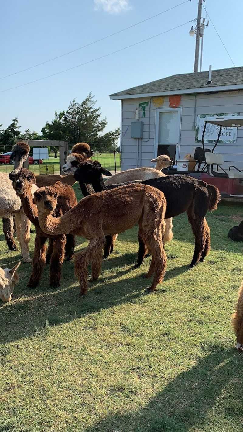 The First Moment You Step Onto The Farm