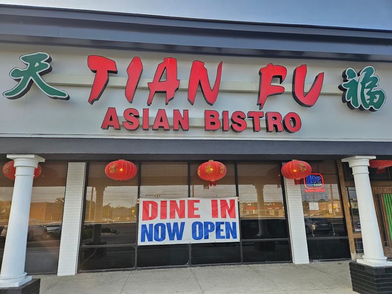 The Robot Cat Server That Everyone Talks About