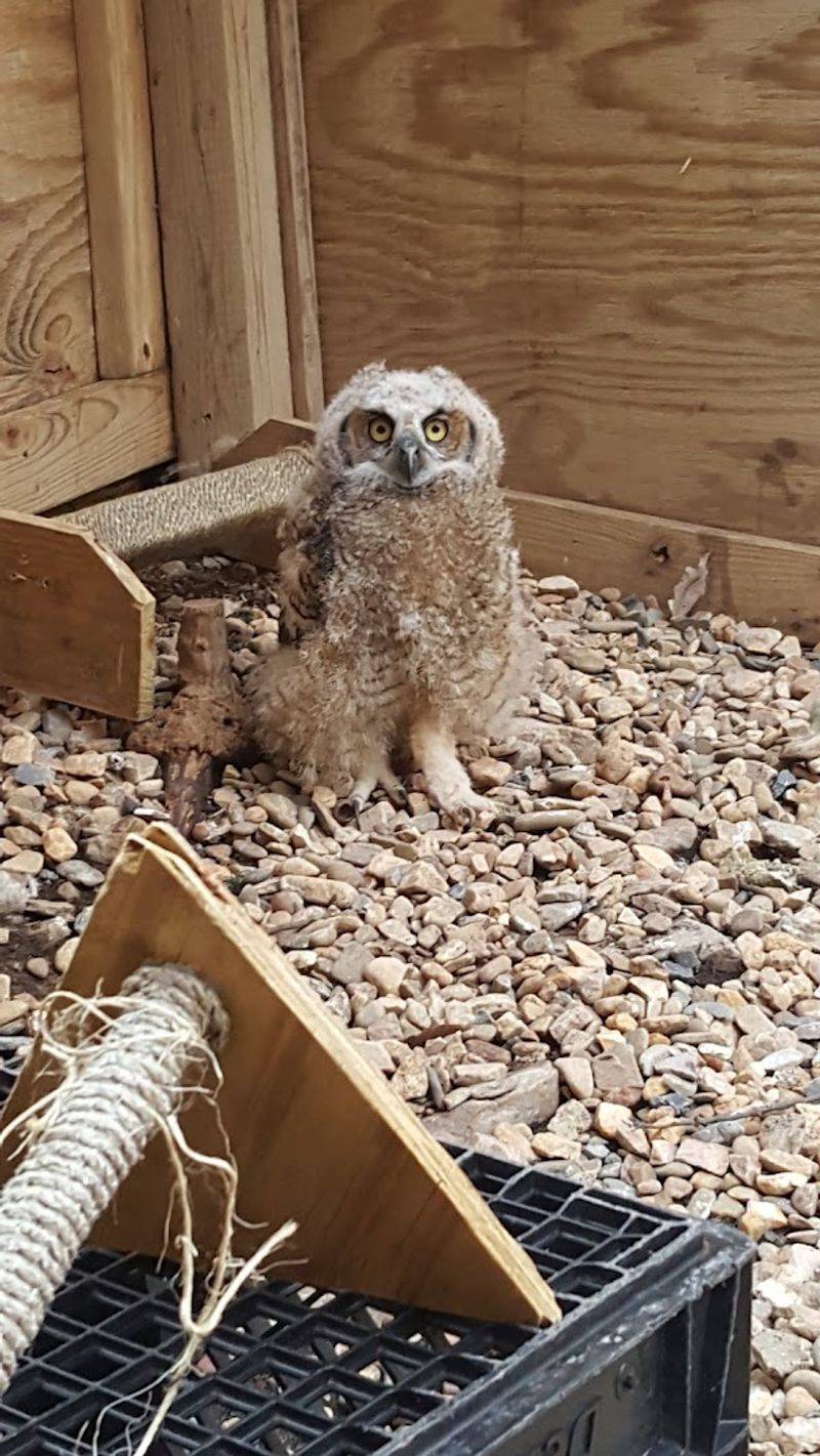 The Gift Shop That Actually Means Something