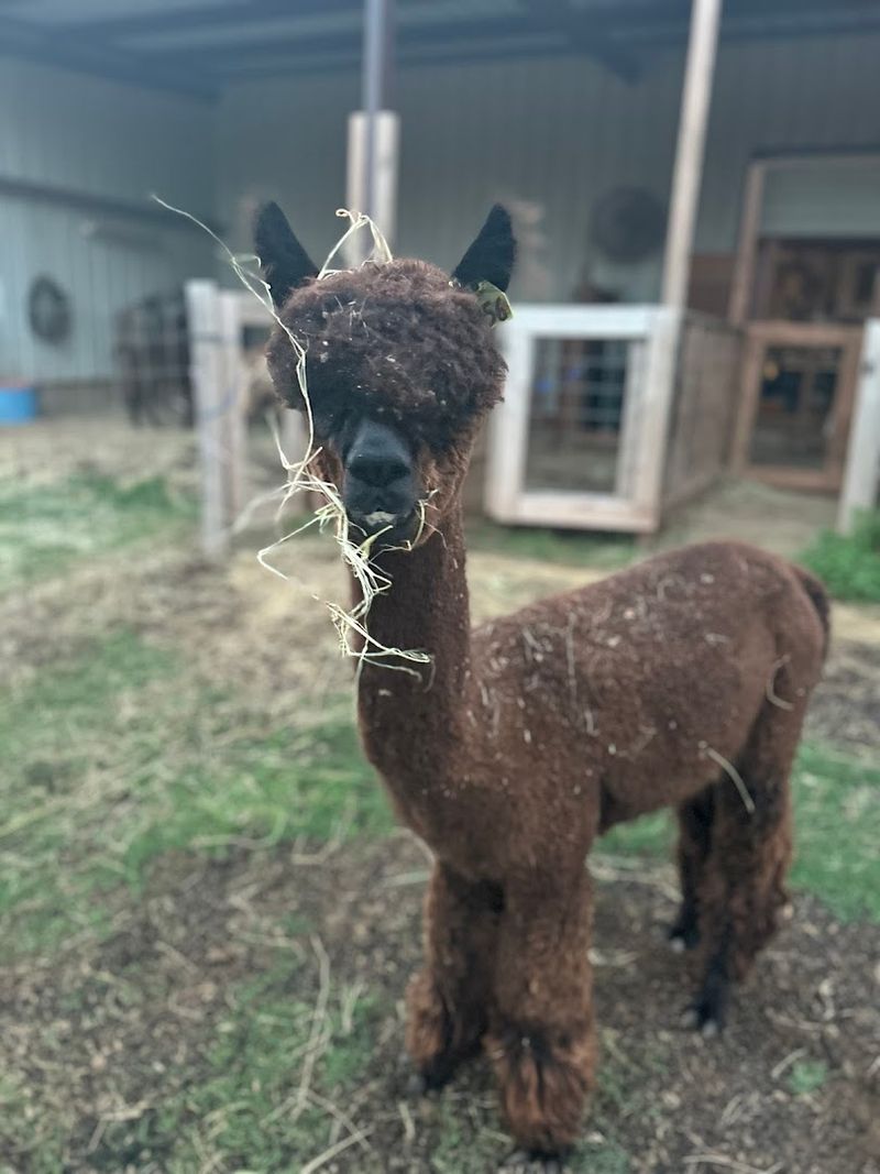 Special Events Make Every Visit Feel Unique