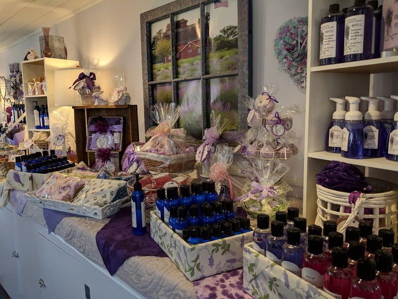 The Gift Shop Packed With Lavender Goods