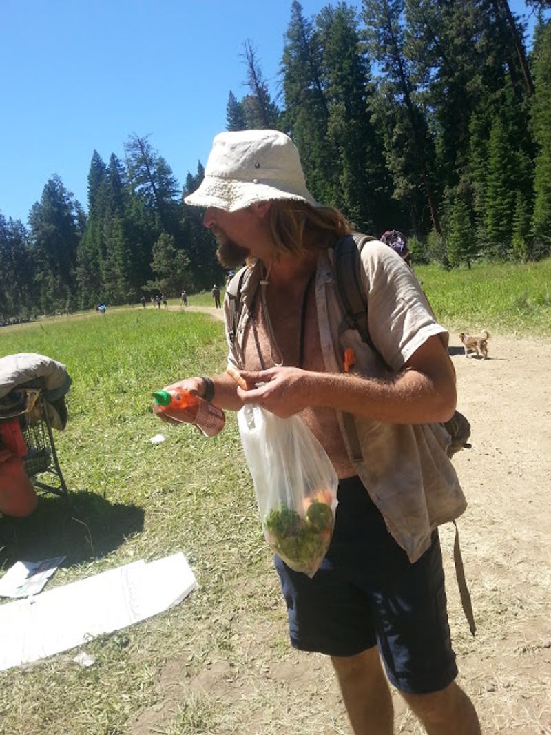 Mushroom Hunting and Foraging Opportunities