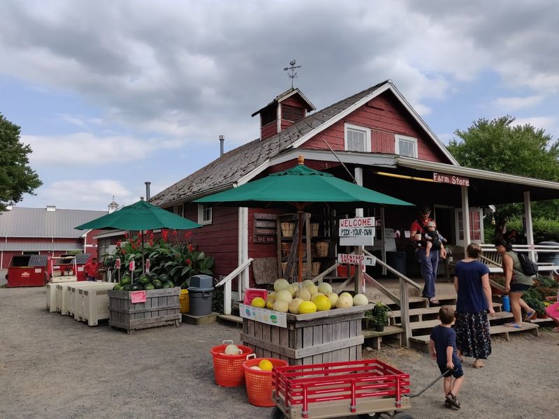 Terhune Orchards, New Jersey