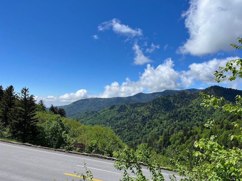 Newfound Gap Overlook Pull-Offs