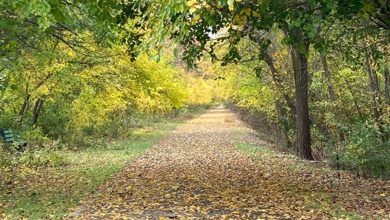 Starke County Location Close to Real Northern Indiana Character