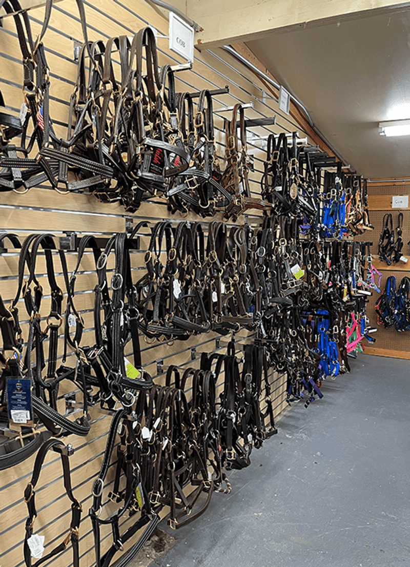English Tack Selection That Covers Every Discipline You Can Think Of