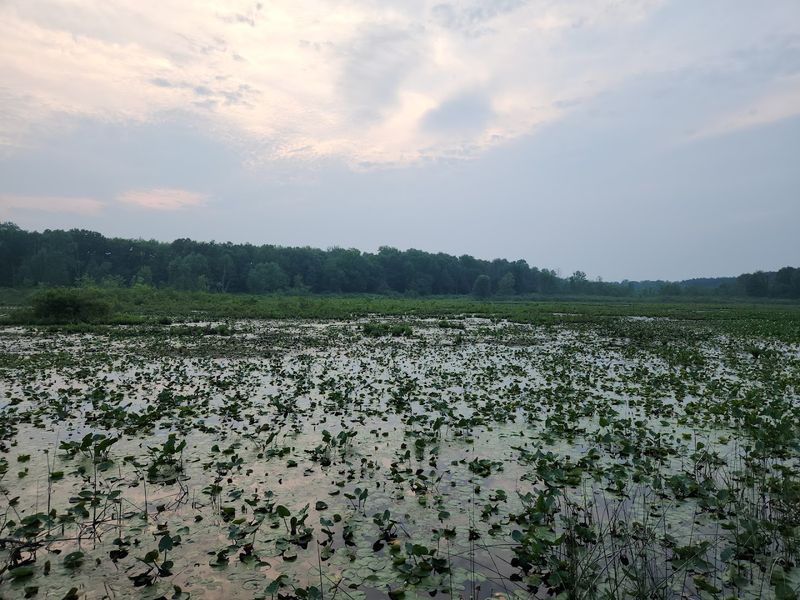 A Quiet Escape Just Minutes From Shipshewana