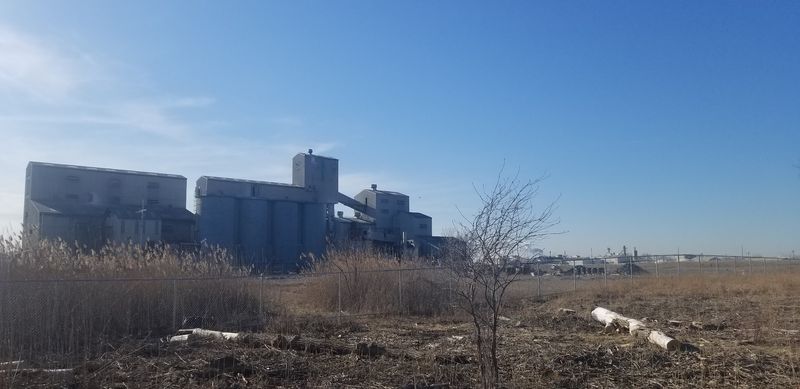 A Living Conservation Success Story Surrounded by Industrial Northwest Indiana