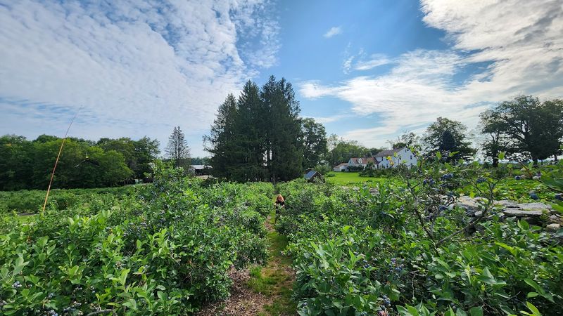 Orchard Views That Make The Stop Better