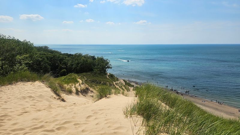 Dog-Friendly Trails That Welcome the Whole Family