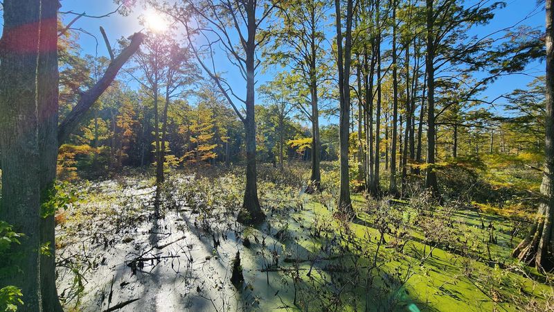 Rare Wildlife and 26 State-Listed Species Calling This Place Home