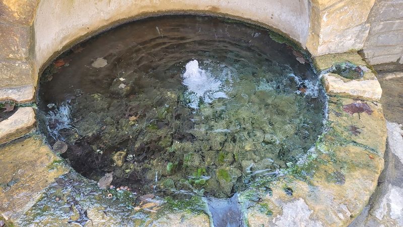 Calm Waters Worth Every Mile of the Drive