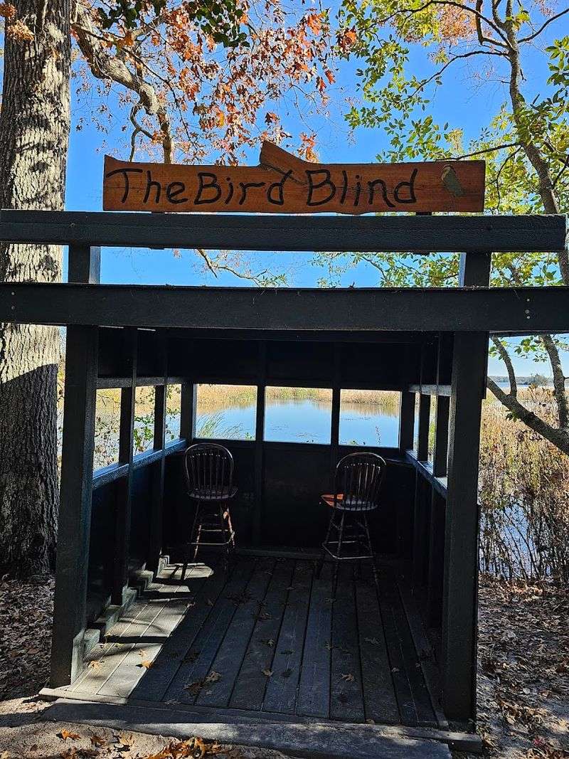 Bald Eagles and Ospreys Putting on a Show