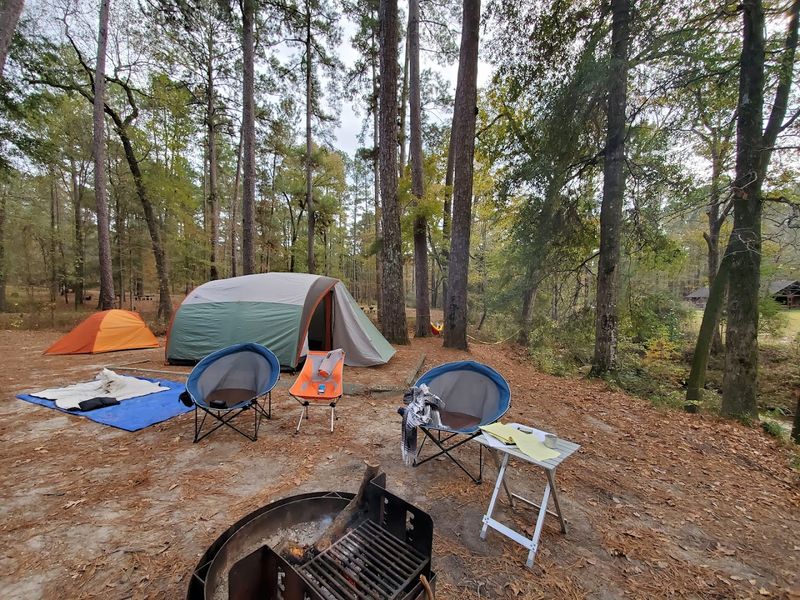 Camping at Boykin Springs: Falling Asleep Under a Pine Canopy