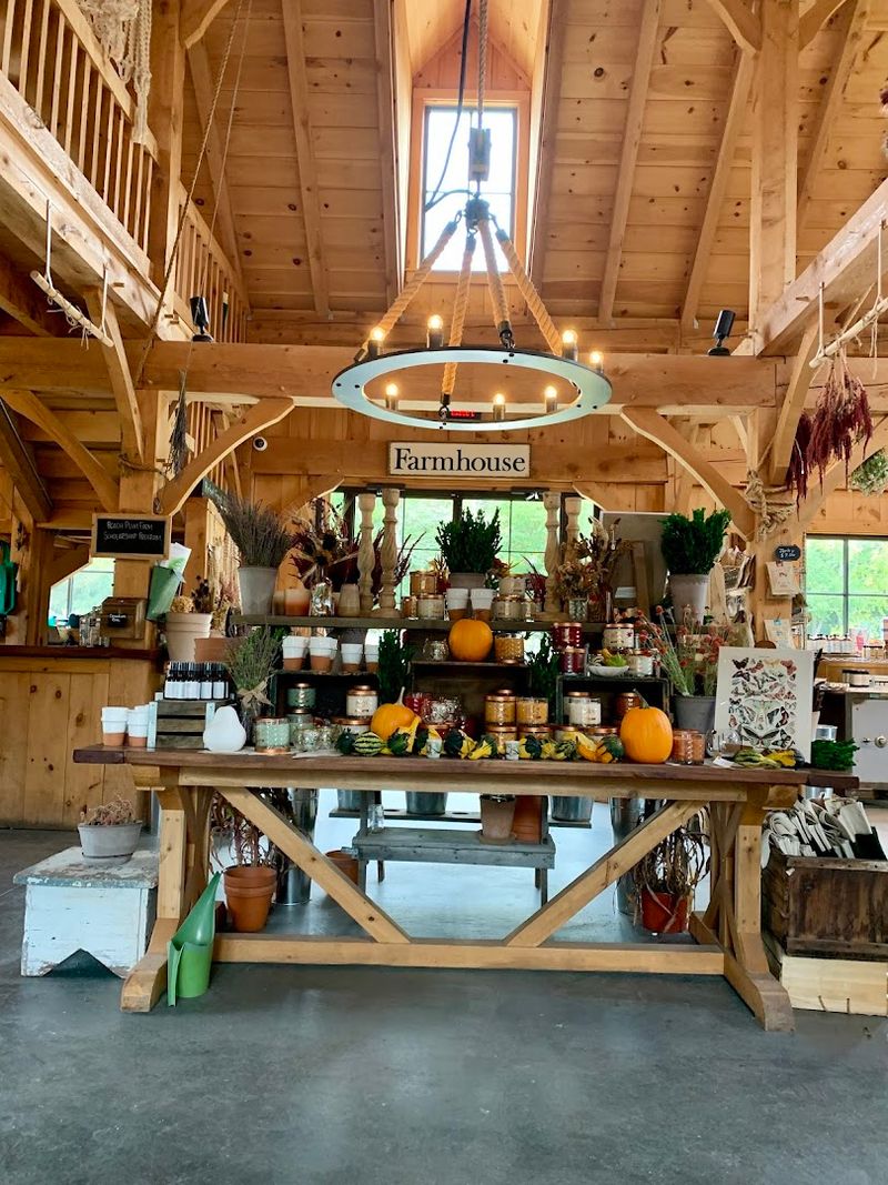 Why Beach Plum Farm Is Worth the Trip Year-Round