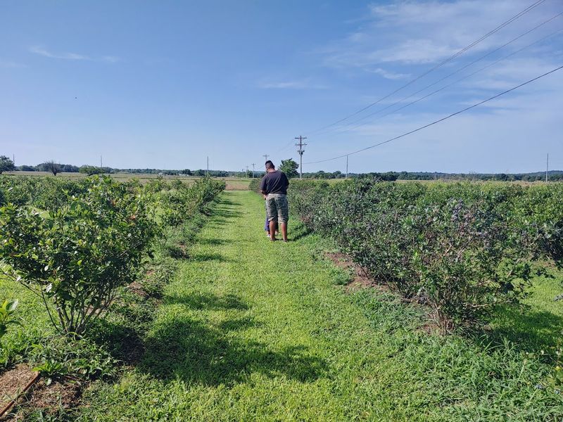 Kids Find Their Happy Place Here