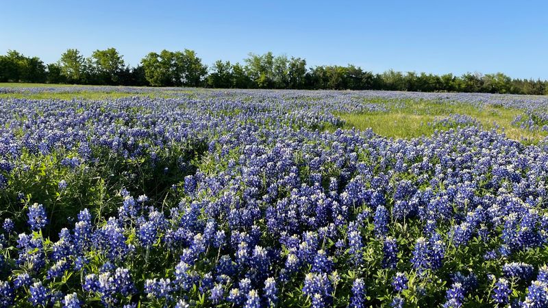Outdoor Spaces and the Rolling Hill Country Scenery