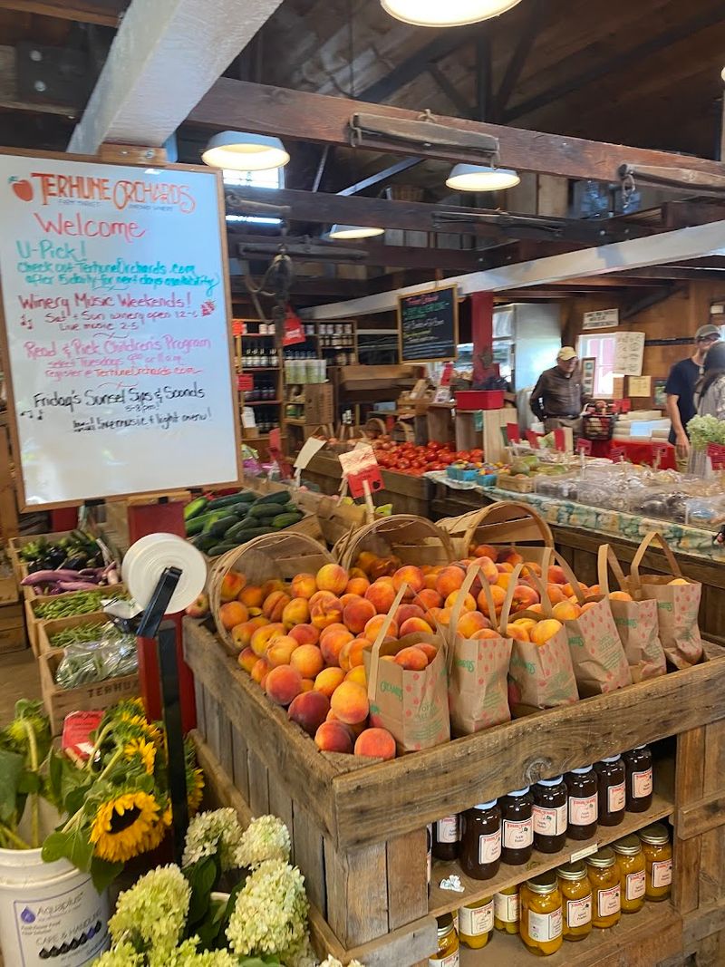 Fresh Apple Cider Straight from the Source