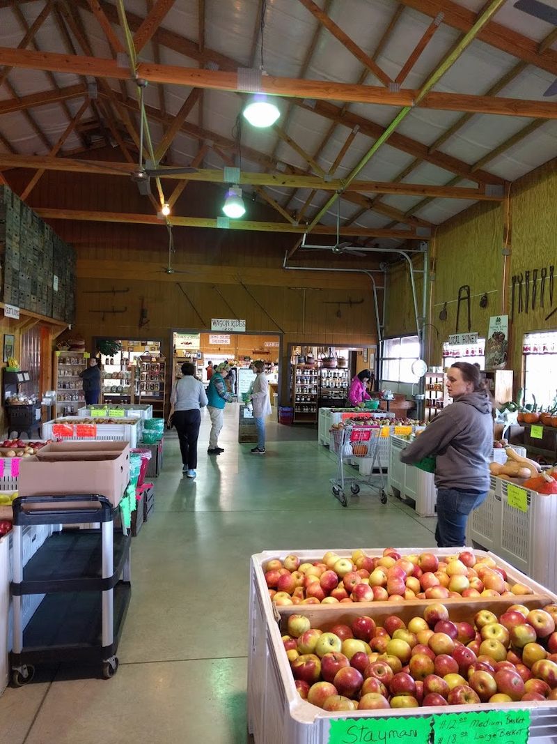 Pick-Your-Own Fun That Never Gets Old