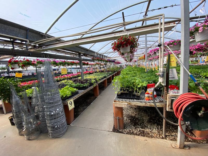 Greenhouse Browsing That Turns A Plant List Into A Cart Party