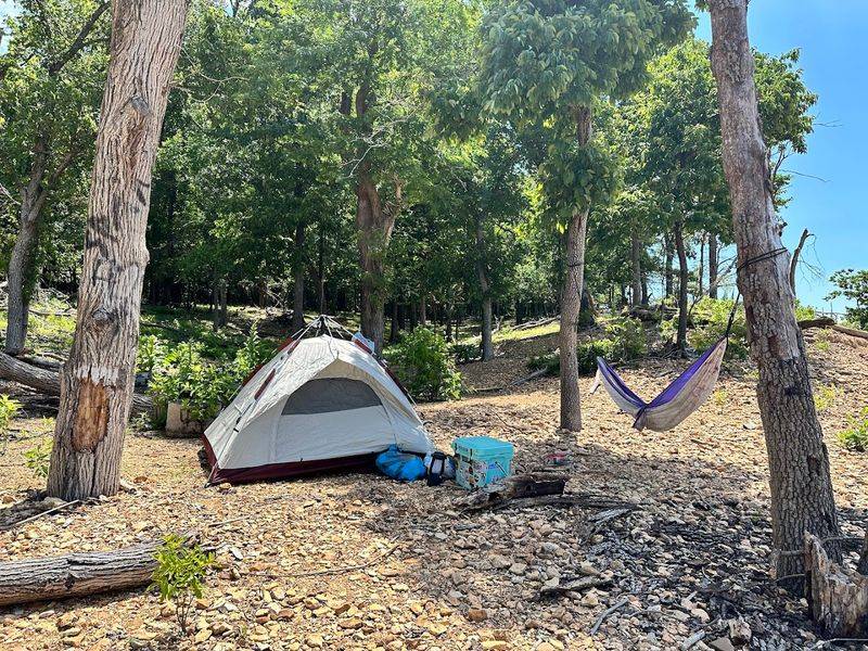 Camping Under the Stars on the Island