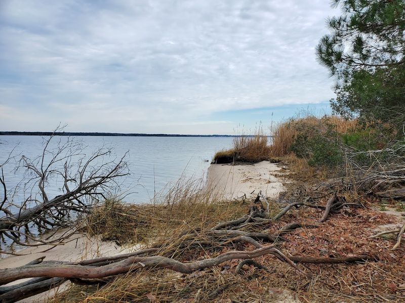 Fossil Beach, York River State Park