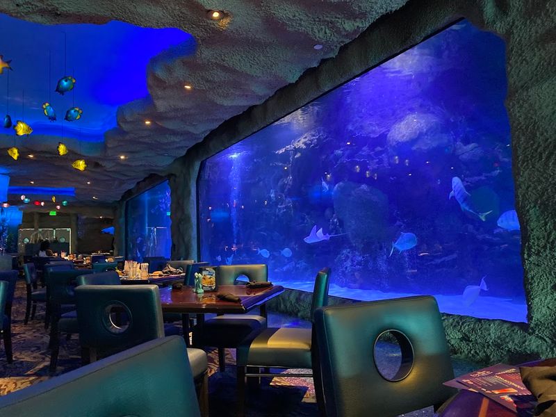 Downtown Aquarium Restaurant, Texas