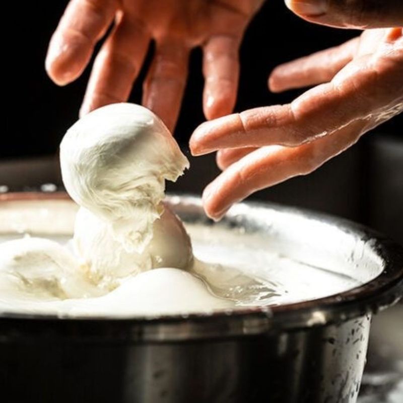 Fresh Mozzarella Made In-House Every Single Day