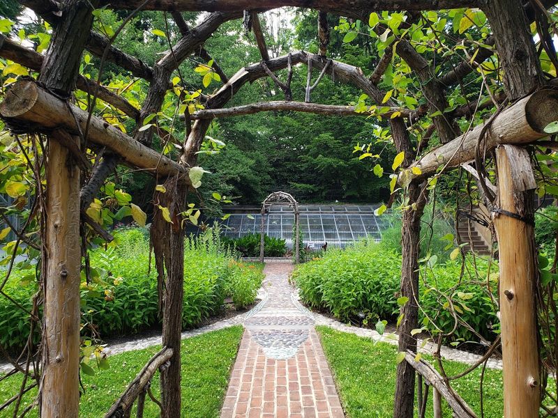 Education Programs That Grow Alongside the Garden