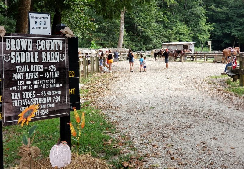 Reasonable Pricing That Makes the Experience Accessible for Everyone