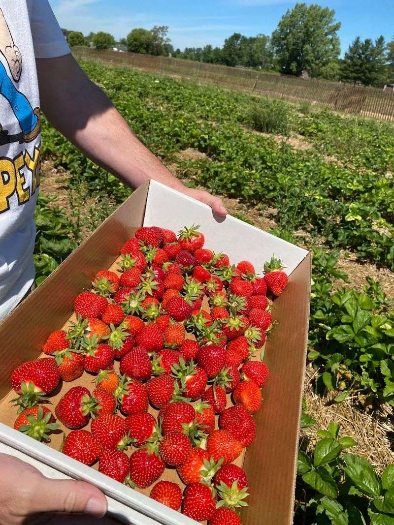 Orchard Produce That Keeps The Farm Feel Front And Center
