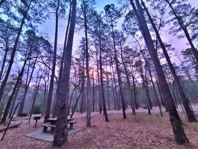 Camping at Boykin Springs Recreation Area
