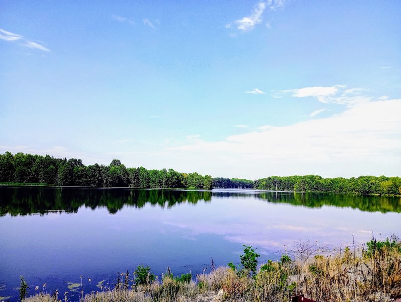 Restored Wetlands Offer a Living Lesson in Conservation