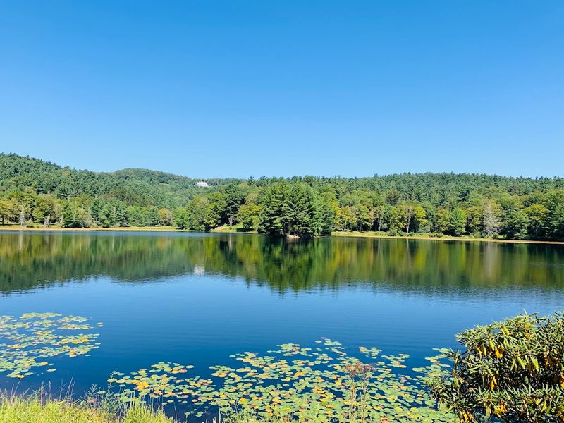 Trout Lake Stop For Quiet Water And Quick Photos