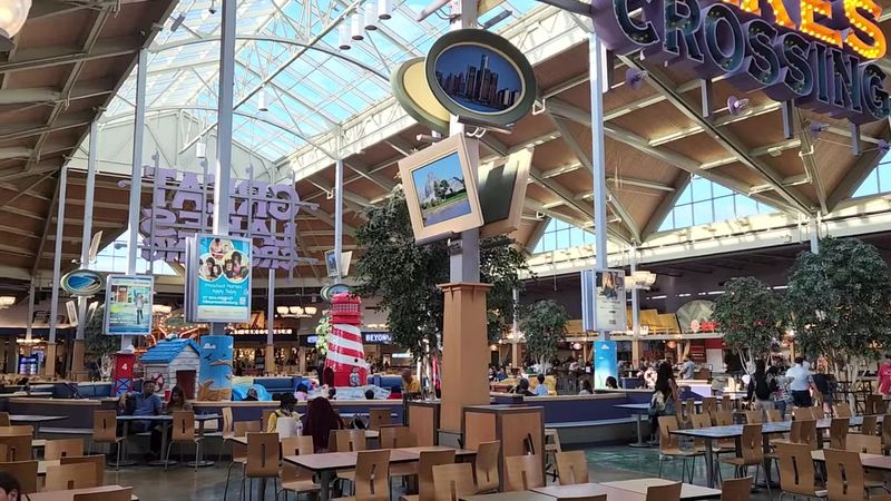 Timing Tips For Parking, Crowds, And Doing The Whole Loop Smoothly