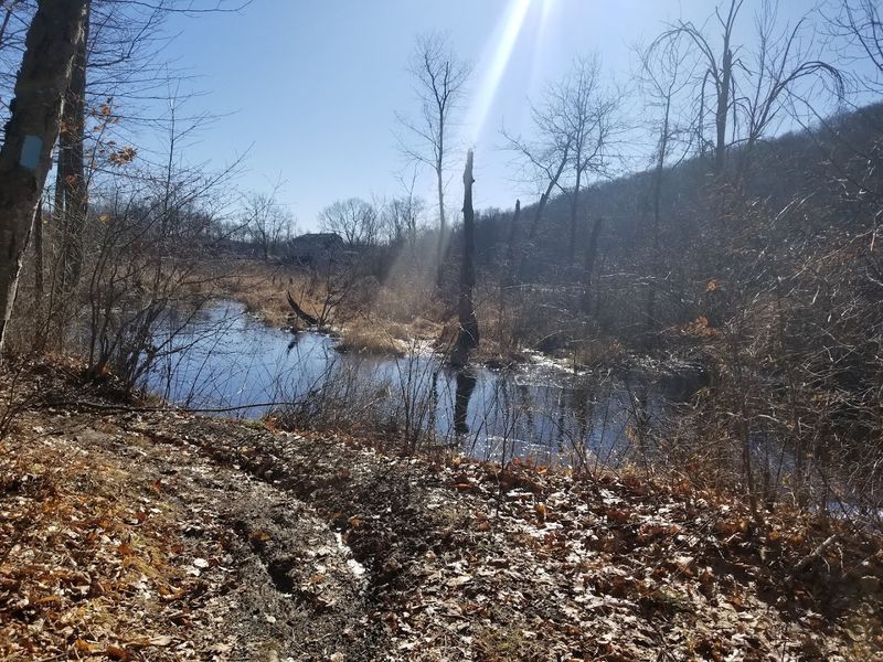 Splitrock Reservoir: Water, Waterfowl, and Winter Solitude